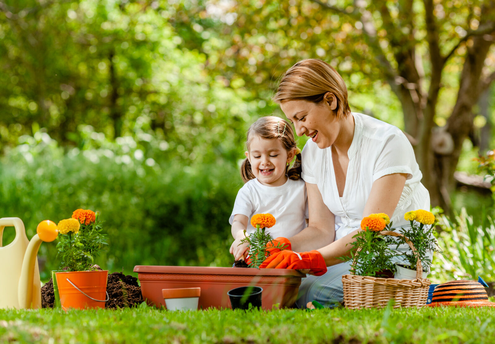 Read more about the article Access discounts help you get your garden ready for spring!